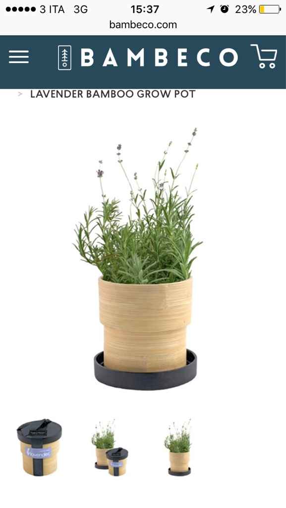 Pareri bomboniere - 3