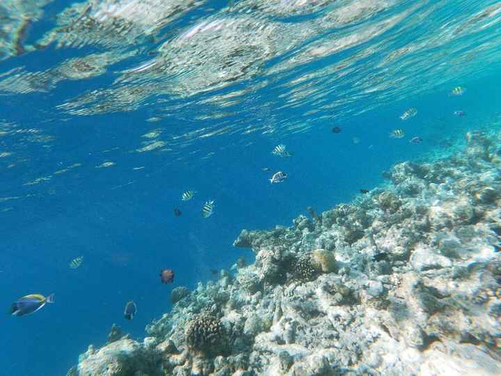 Dhiggiri Resort Maldive - 2