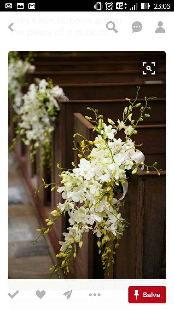 Vivaio e orchidee - 1