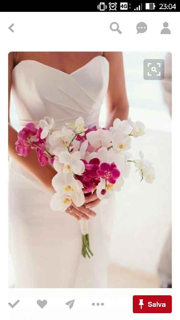 Vivaio e orchidee - 5