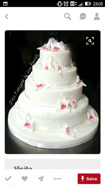 Vivaio e orchidee - 3