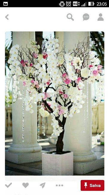 Vivaio e orchidee - 4