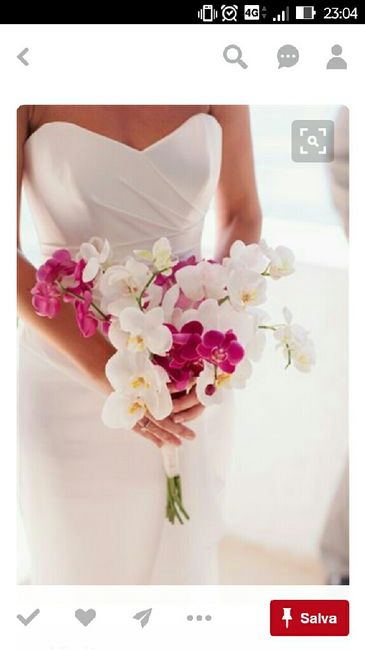 Vivaio e orchidee - 5