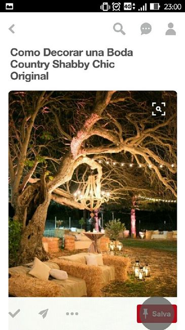 Aiuto decorazione albero villa - 4