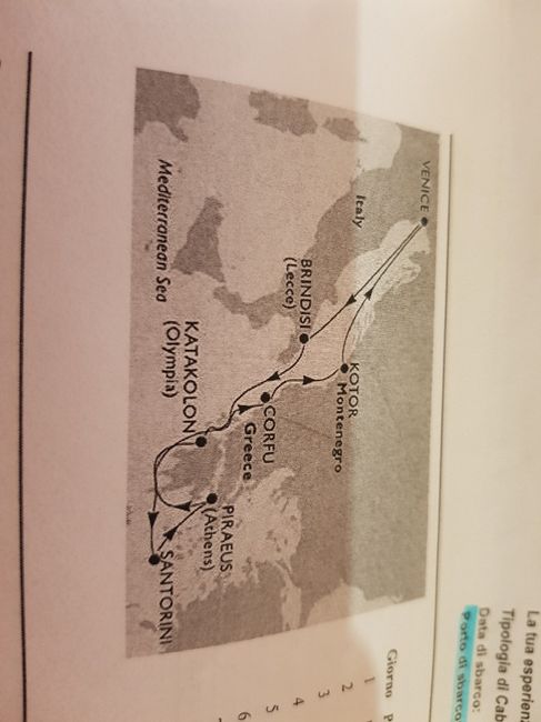 Meglio Costa crociere o Msc?? - 1