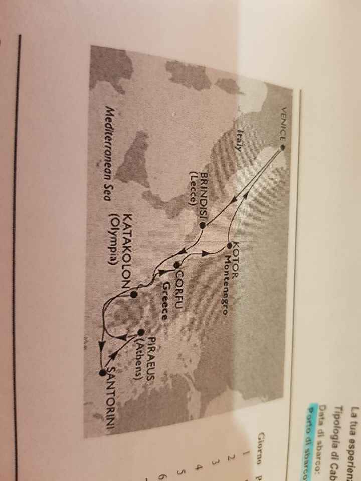 Meglio Costa crociere o Msc?? - 1