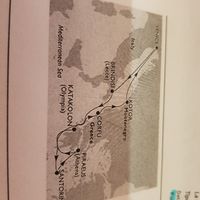 Meglio Costa crociere o Msc?? - 1