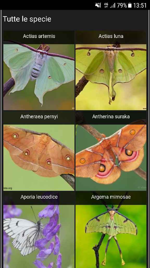  Farfalle tableau😱 - 1
