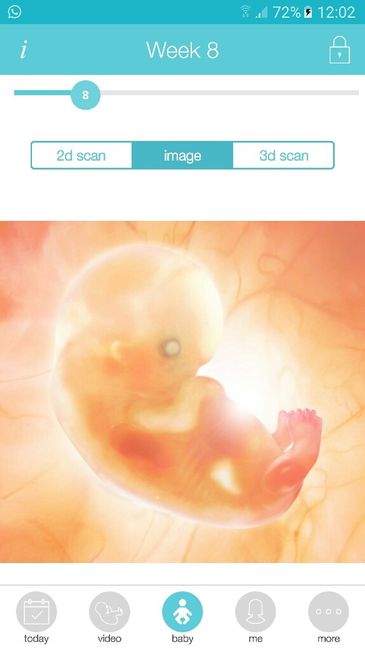 Finalmente nel 4 mese! - 1