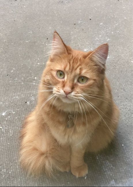 Seconda proposta 😂 6