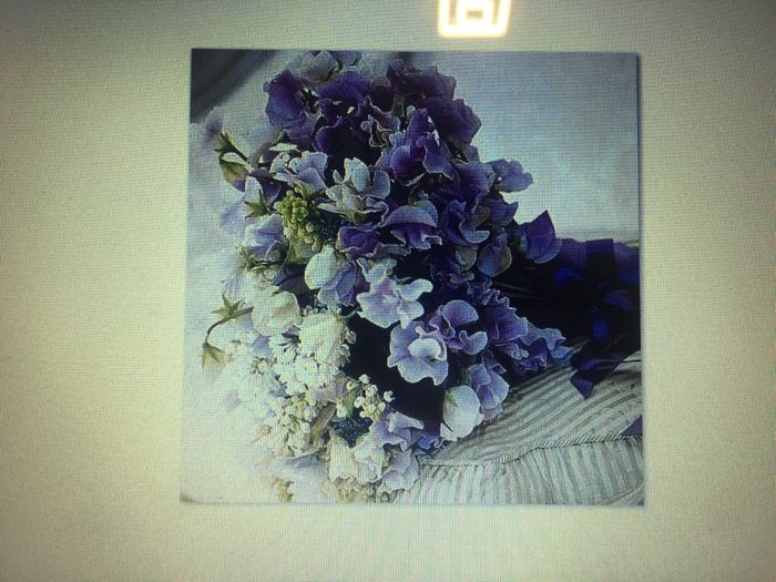 Stress da scelta 🤪🤔 1