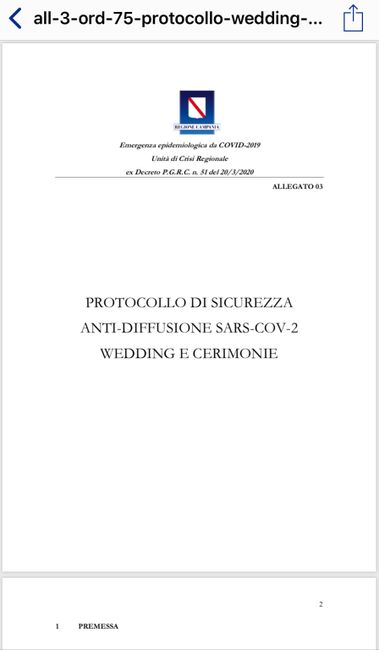 Protocollo wedding De Luca -testo 1