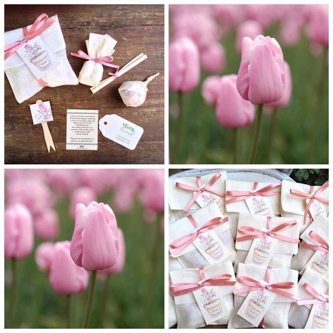 Bomboniere bulbi di tulipano 4