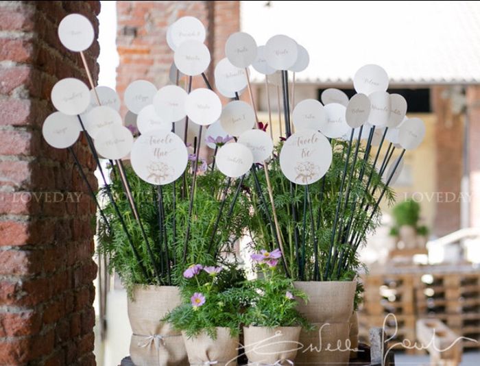 Matrimonio e Battesimo 5