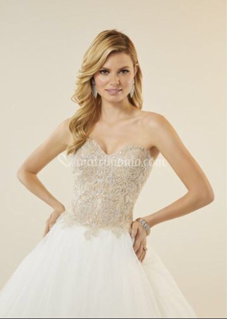 Dubbio su scelta abito e dieta 7