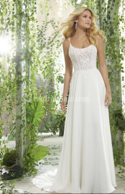 Dubbio su scelta abito e dieta 10