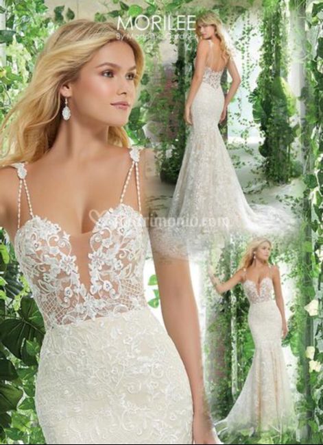 Dubbio su scelta abito e dieta 18