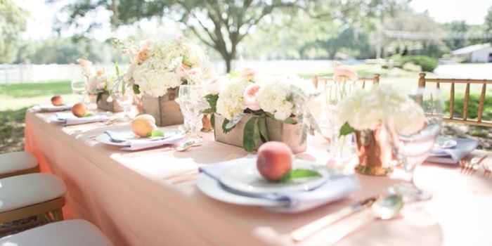 Tema romantico rosa cipria o rosa pesca? 15