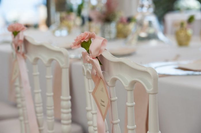 Tema romantico rosa cipria o rosa pesca? 11