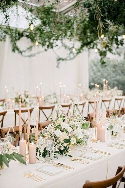 Tema romantico rosa cipria o rosa pesca? 4