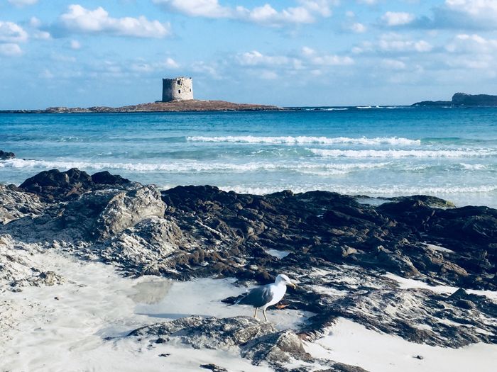 Sardegna🥰 5