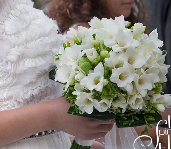 Tema matrimonio 9