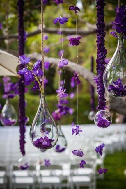 Viola. Perché no? 8