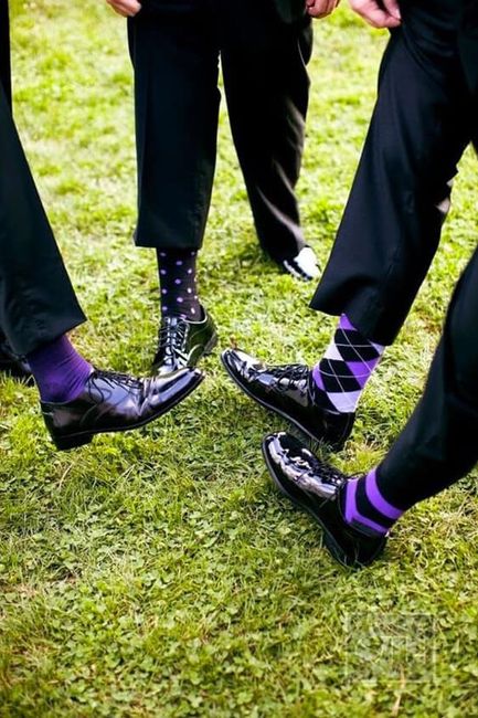 Viola. Perché no? 11