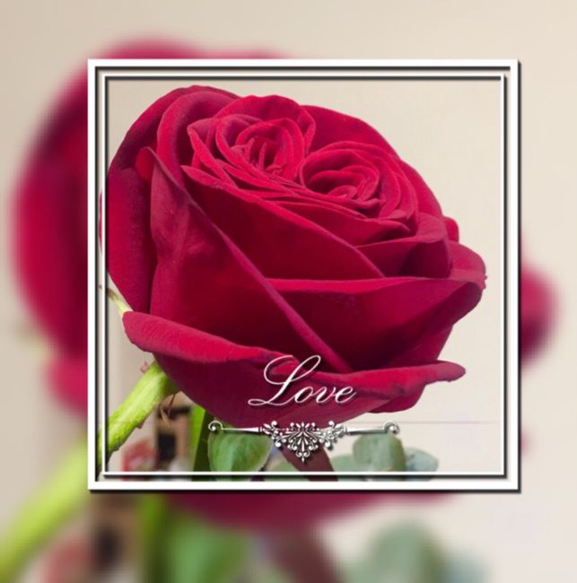 w  l'amore  ♥️♥️♥️♥️♥️ 1