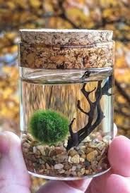 Idea particolare ✅ 2