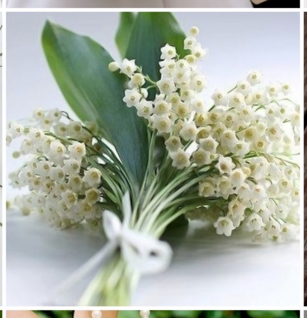 Bouquet mini. Quale dei due? 2