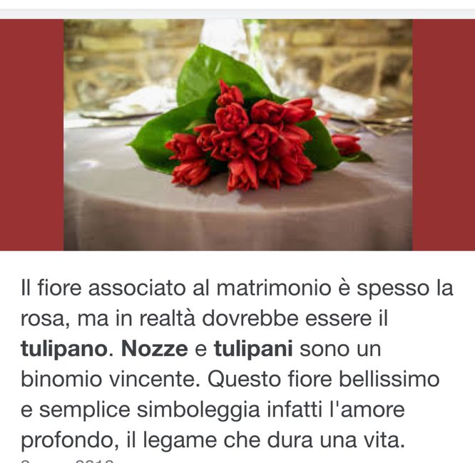 Sposarsi a Marzo... Consigli? 3