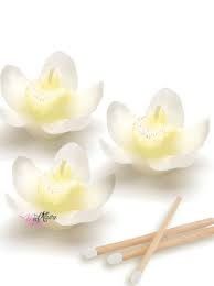 Tema orchidea bianco/rosa tenue 5