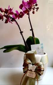 Tema orchidea bianco/rosa tenue 8