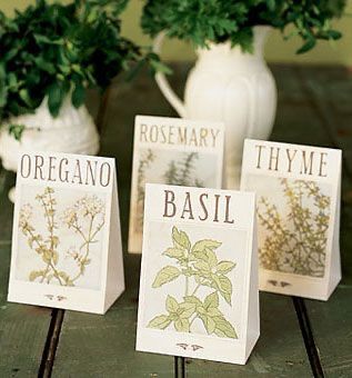 Tema erbe aromatiche fai da te 30