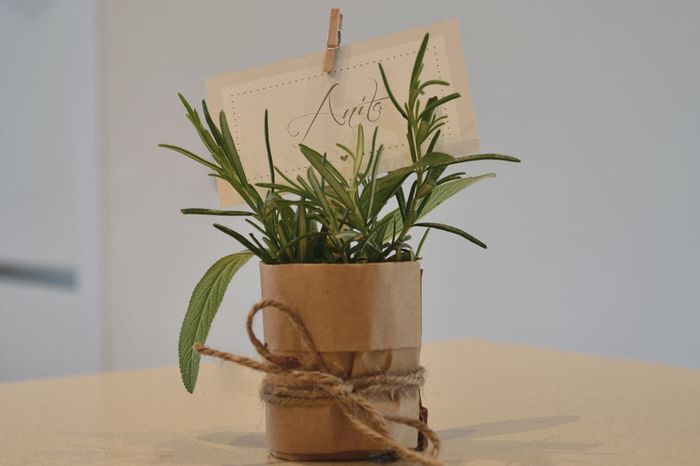 Tema erbe aromatiche fai da te 32