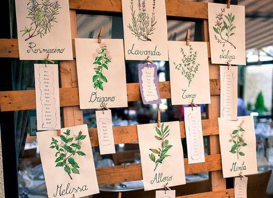 Tema erbe aromatiche fai da te 34