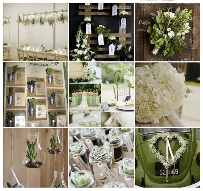 Tema erbe aromatiche fai da te 35