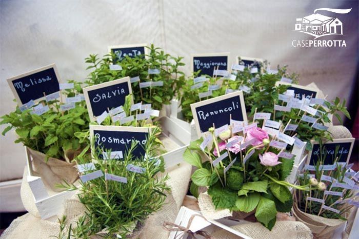 Tema erbe aromatiche fai da te 36