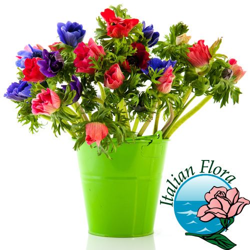 Bouquet...fiori di campo! 22