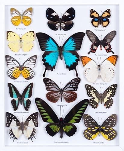 Tableau de mariage 4