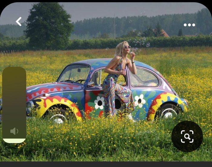 Figli dei fiori tema 3