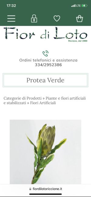 Problemino Bouquet 6