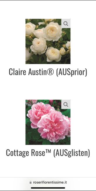 Allestimento in rosa antico 1