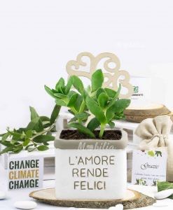 Bomboniere si o no? - 8