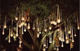 La notte delle stelle cadenti 21