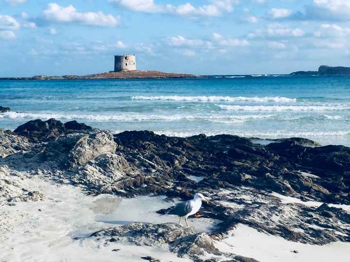 Sardegna🥰 - 5