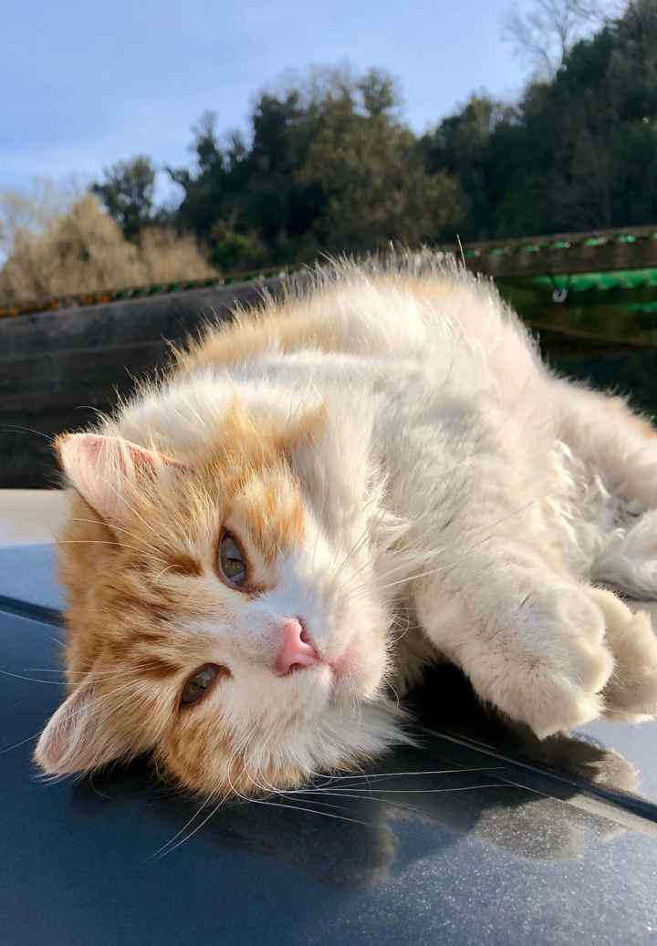 L'amore mio più grande - 1