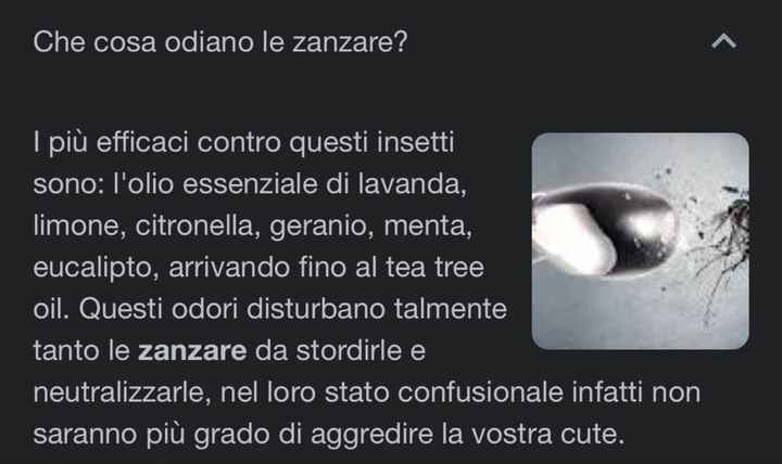Zanzare 🦟 e profumi - 1
