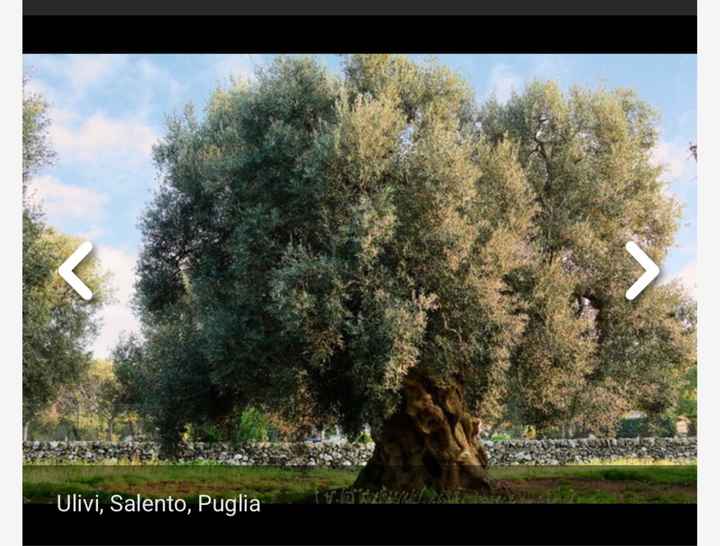 Nomi tableau e segnatavoli - 2